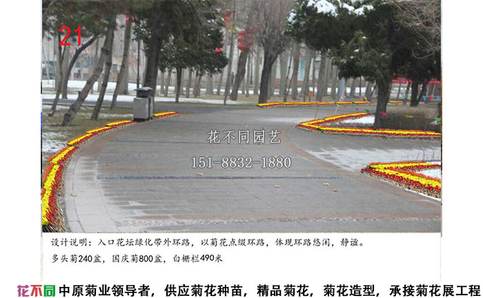 菊花展設(shè)計方案-沿路設(shè)計效果圖