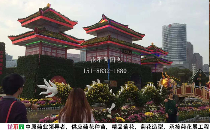 江西菊花節(jié)布展古城樓,雙龍戲珠菊花展造型