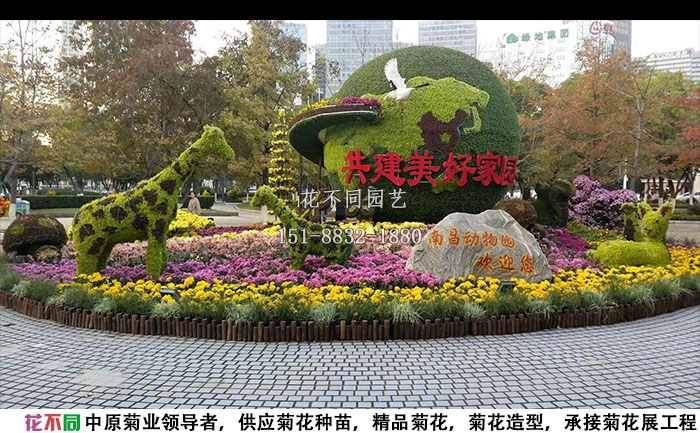 菊花展工程施工現(xiàn)場(chǎng)實(shí)拍圖
