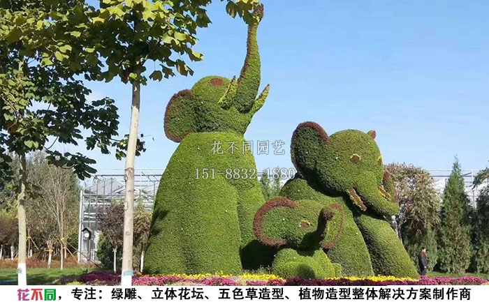 植物綠雕動物造型-大象實(shí)拍圖