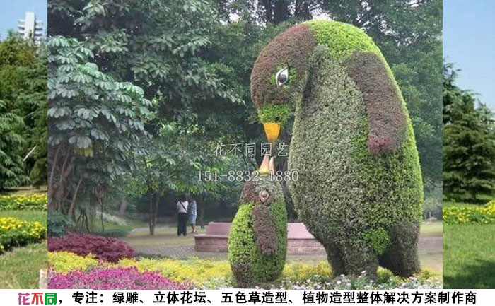 植物綠雕動物造型-企鵝實(shí)拍圖