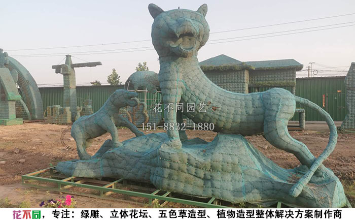 植物綠雕動物造型骨架-老虎現(xiàn)場實(shí)拍圖
