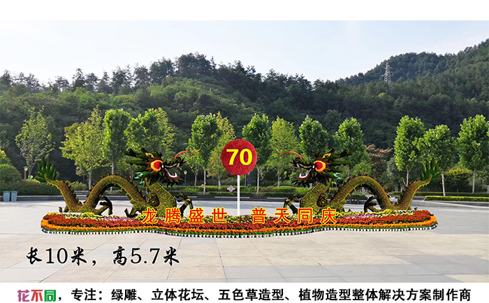 國慶主題五色草造型設(shè)計圖-龍騰盛世，普天同慶