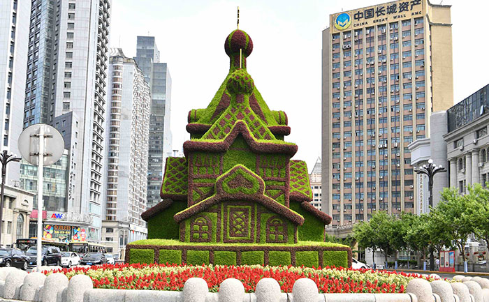 五色草節(jié)日造型養(yǎng)護(hù)流程與自動(dòng)灌溉系統(tǒng)配置圖解