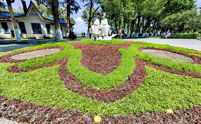 五色草在城市道路綠化帶中的立體造型設(shè)計與色彩搭配案例圖