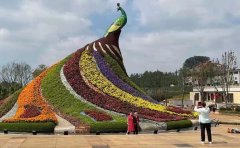公園景觀五色草苗設計方案｜施工與養(yǎng)護指南