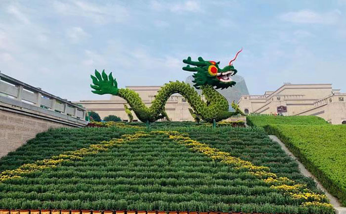 城市廣場立體造型實景 矮生五色草立體字牌工程案例